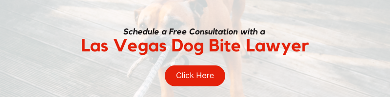 las vegas dog bite lawyer