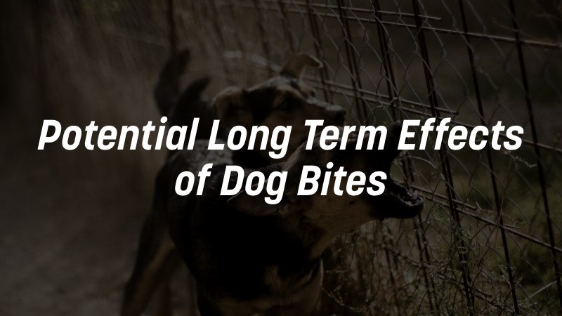 Image of barking dogs with text "potential long term effects of dog bites"